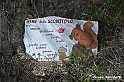 VBS_3124 - Mango (Cuneo) - Gnomovia